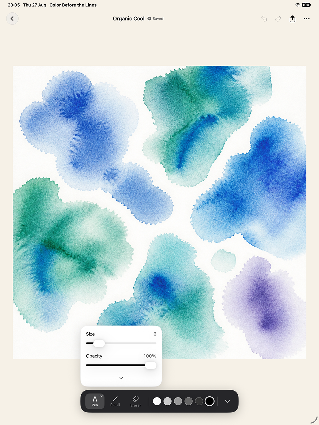 Drawing controls for pen, pencil, eraser, grayscale, stroke size and opacity in portrait orientation